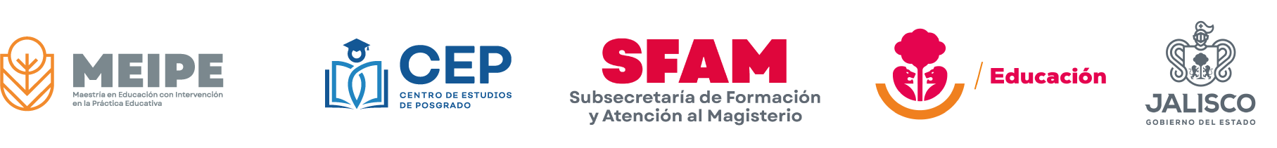 MEIPE Profesionalización en Línea